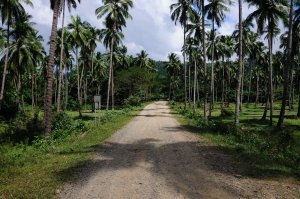 The road to the secluded beach