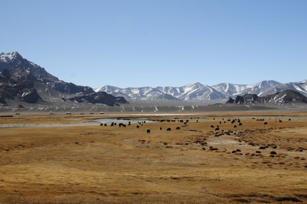 Pamir Hwy near Murgab