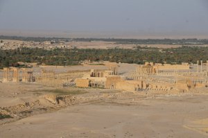Palmyra from Towers