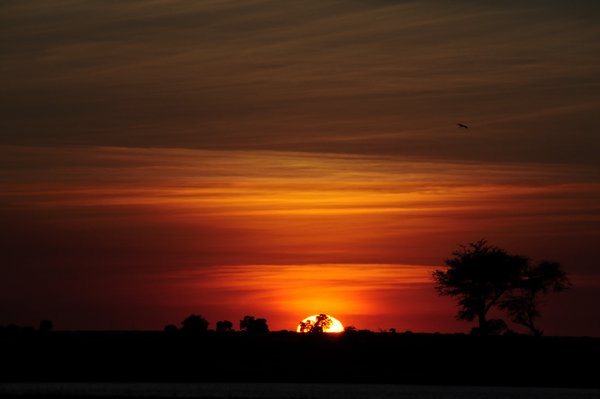 Sunset over Chobe