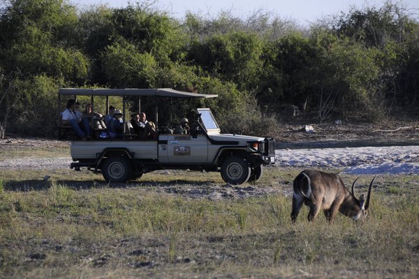 the type of safari vehicle
