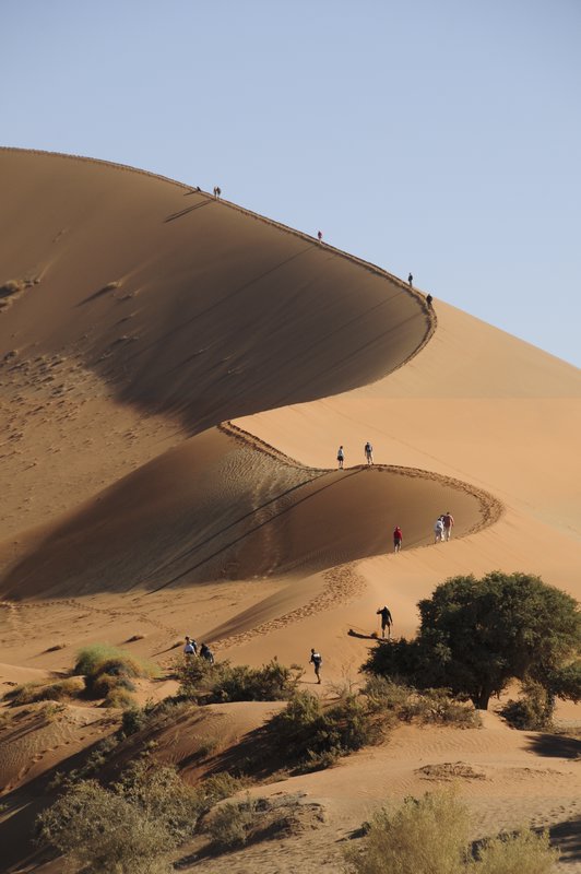 The dune