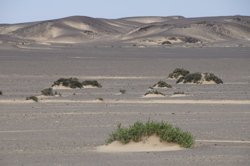 47 - start of mostly black gravel sand dunes