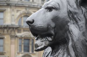 56 - Lion from Trafalgar Square