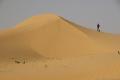 14 - the sand dune