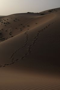 1 - The aim - The Saharan sand dunes of Chingetti