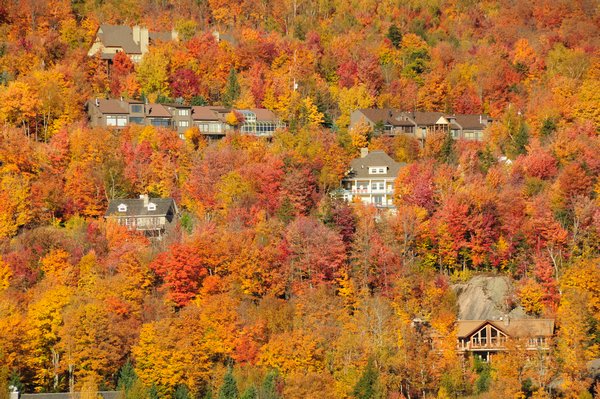 1 - The peak of north american fall - Parc du Mont Tremblant