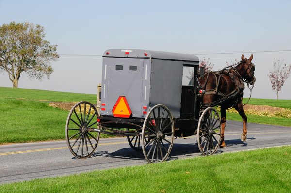 3 - Amish Country