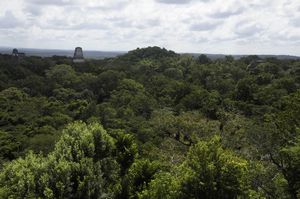 93 - view of tikal on top of #4