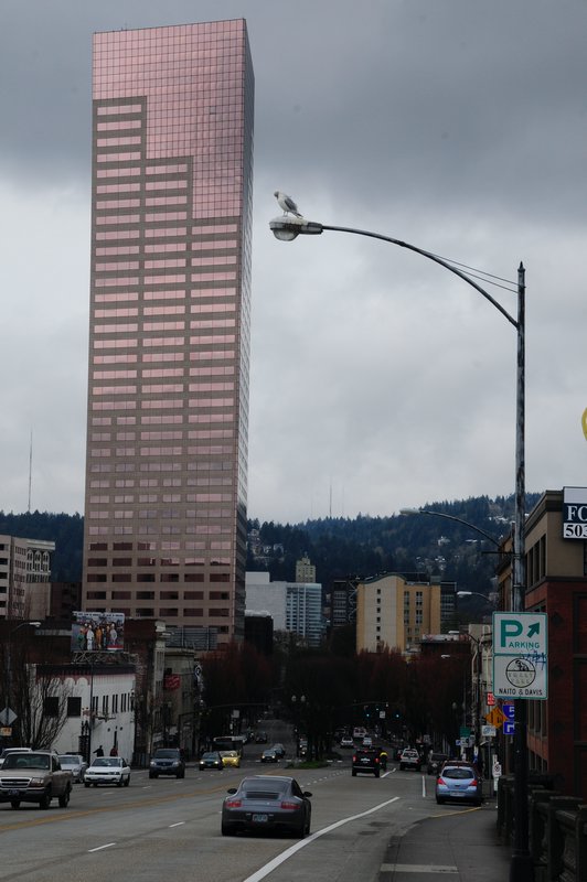 8 - one of the few tall buildings in Portland