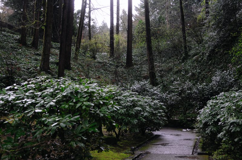 9 - the walk up to eh Japanese Gardens