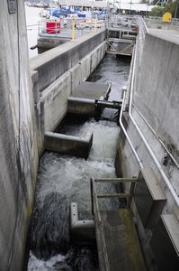 47 - When the construction of the canal they needed to make a system that will keep the salmon from continueing life like normal so they built this so they could swim back and forth
