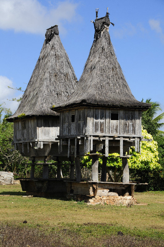 4 - Traditional Fataluka Houses 