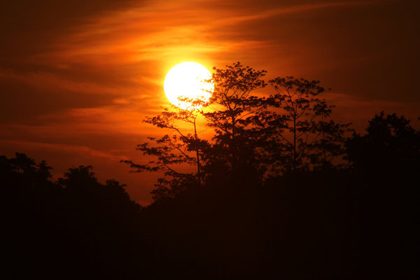Borneo Sunset