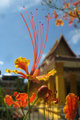 Laos Temples