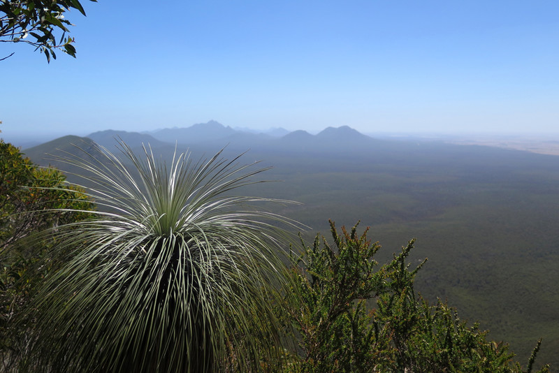 View of the Stirling Ranges from Bluff Knoll