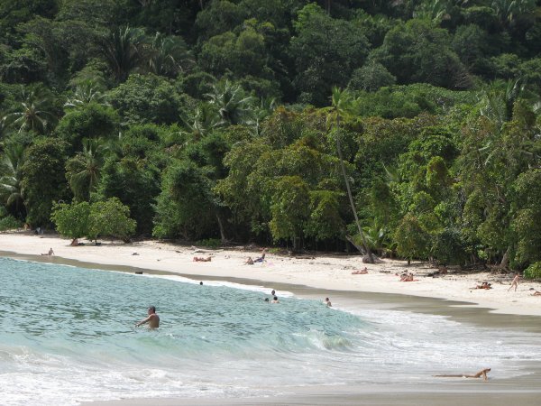 One of the beaches in Manuel Antonio NP