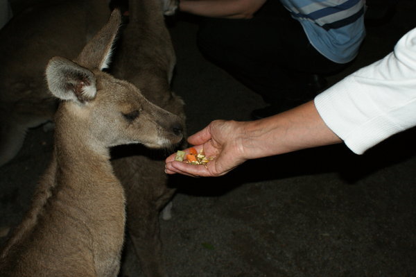 Margaret getting a handful of Kangaroo Spit
