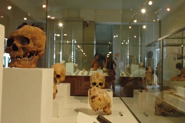 View of skulls in Museo Regional de Ica