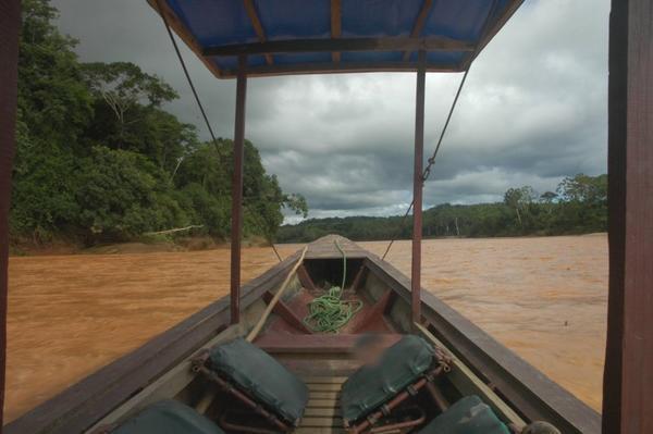 Boat trip along the Rio Beni
