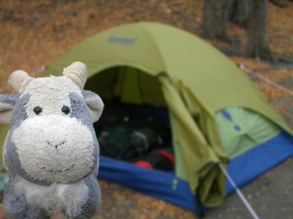 Gruff goes camping
