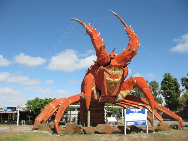 giant lobster