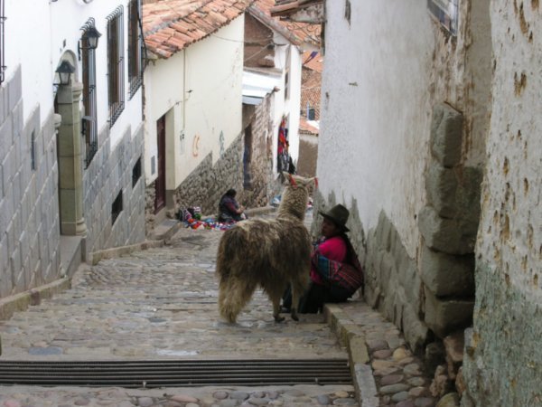 A passeggio per Cuzco