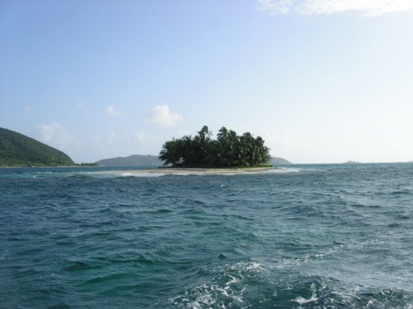 L'isola dei Famosi