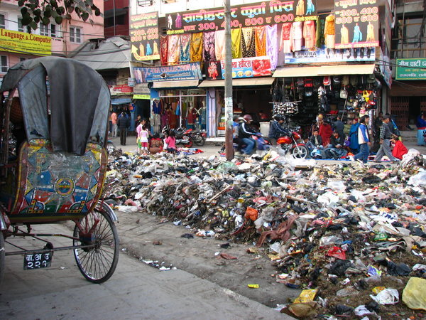 The Nepalese garbage disposal system...