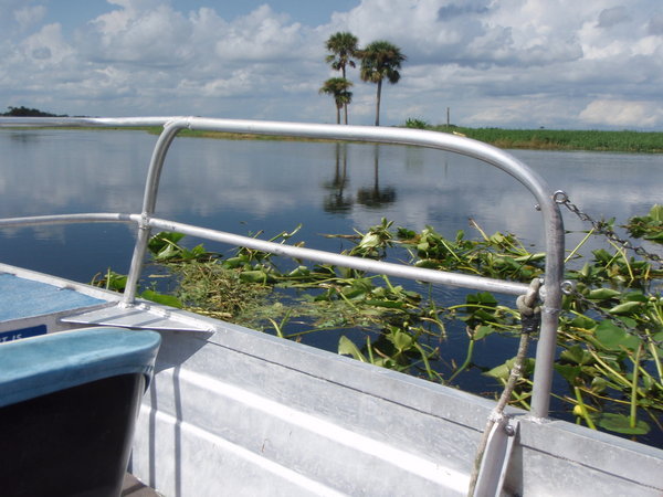 The airboat ride