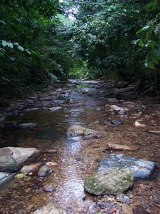 Jungle river Lanta