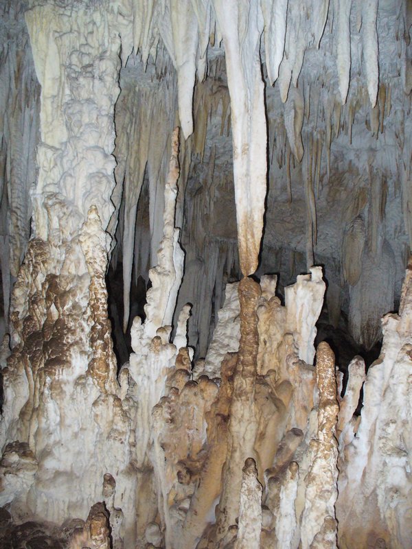 Barra Honda Cave
