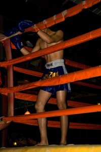 Muy Thai boxer