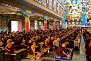 Namdroling Tibetan Monastary