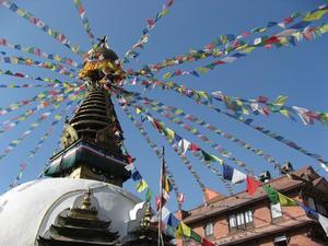 Back in Kathmandu