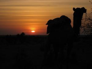 Sunrise at the Camel Camp