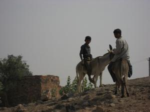 Villagers On Donkeys