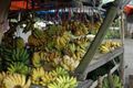 Bananas For Sale - Tomohon