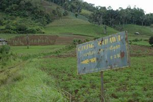 The Trail To Gunung Mahawu