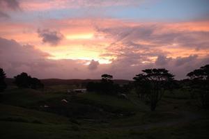 Sunset at the farm in Pukenui