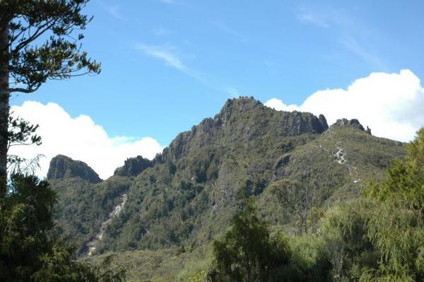 The view from the Pinnacles Hut