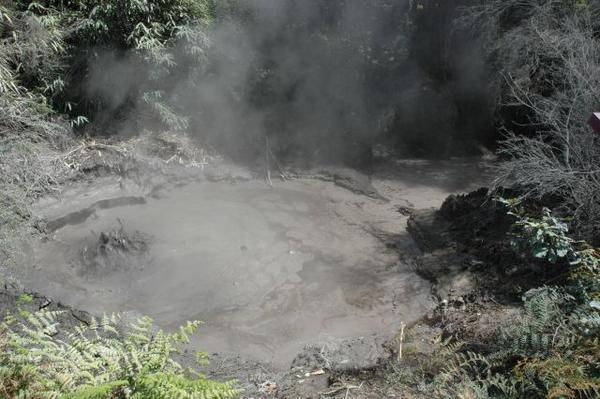 Mud pools in Rotorua