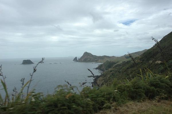 On the drive up to Fletchers Bay