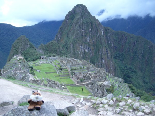 Me relaxing at Machu Picchu