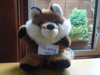 Thorny Fox