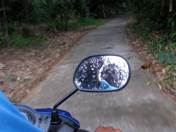 jungle bike ride