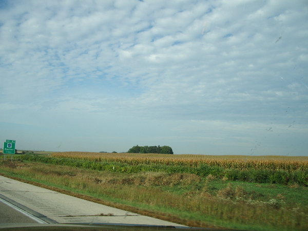 fields