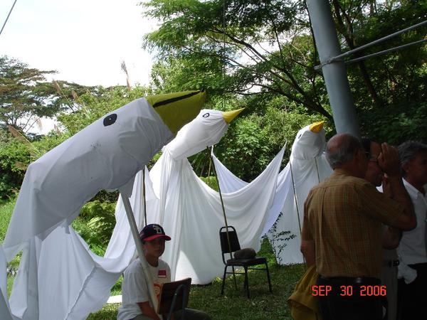 Large Peace Doves on display
