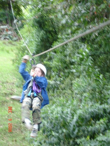 Ari flying through the rainforest