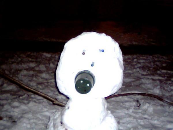 Ari's snowman
